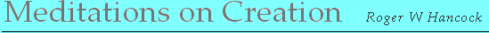 Meditations on Creation